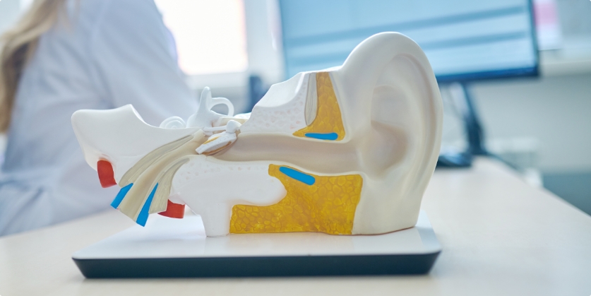 Audiology and Hearing Aid Services Blog